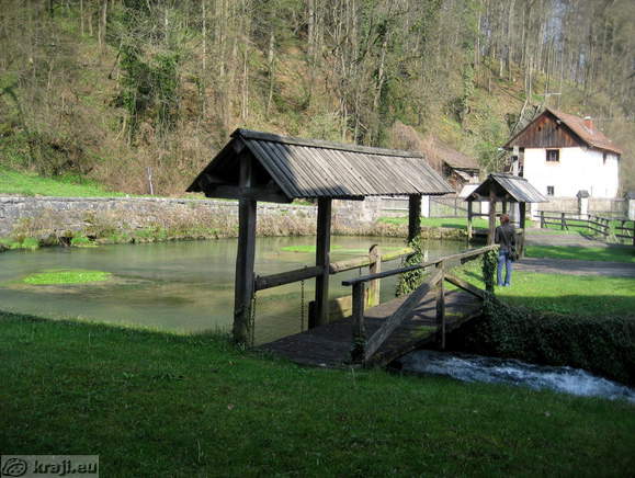 One of the springs of brook Bistra that outfall into Ljubljanica