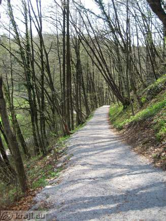 Footpath to the Mocilnik where is one of the springs of River Ljubljanica