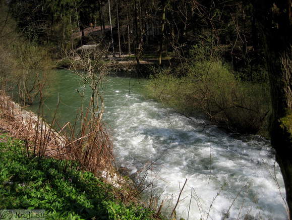 Ljubljanica near Veliki Mocilnik
