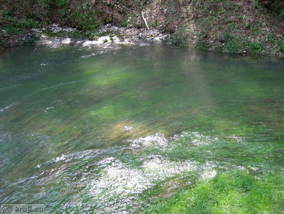 Ljubljanica spring - Mali (Small) Mocilnik