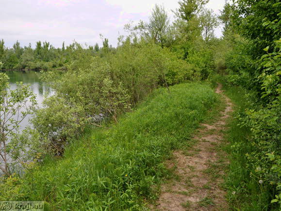 Teiche in der alten Ziegelei