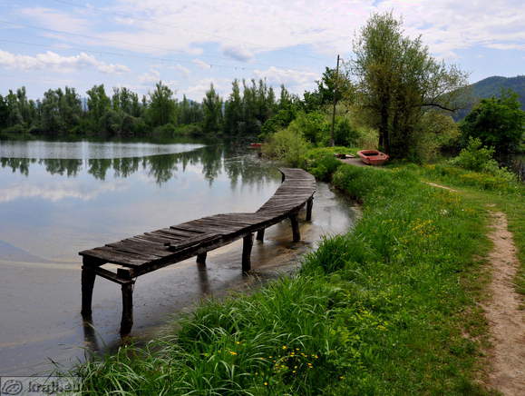 Teiche in der alten Ziegelei
