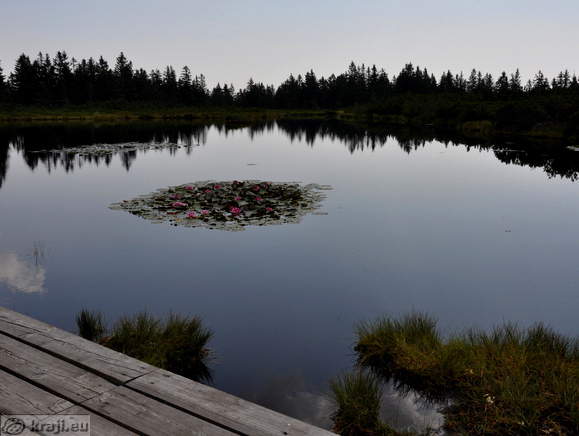 Ribniško jezero
