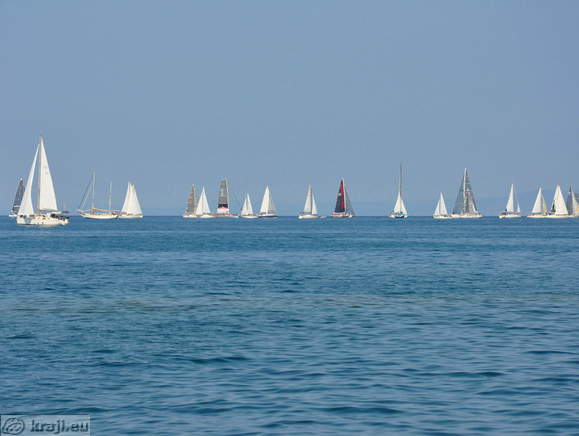 Regata pri Izoli