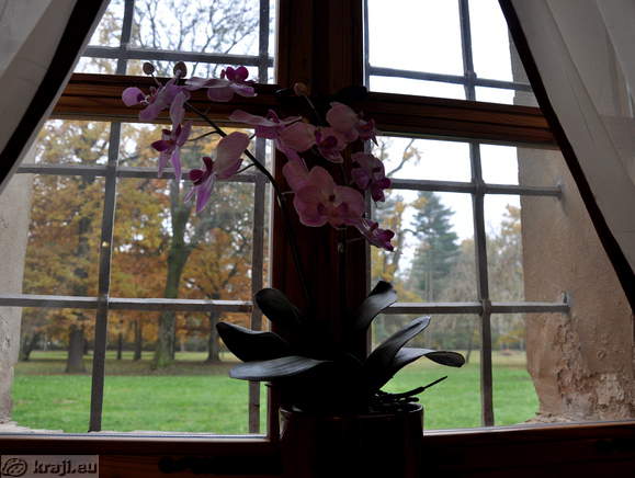 Pogled skozi okno restavracija na park