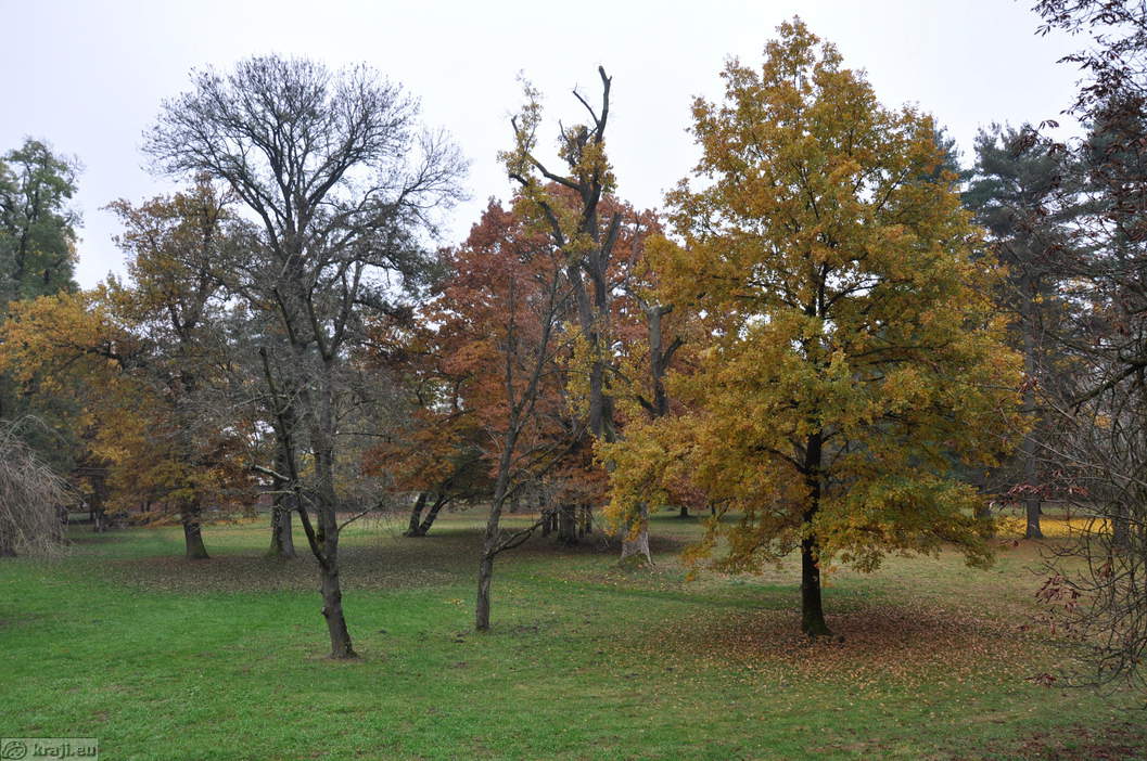 Beltinci - Park - Photo: 3153-4 Beltinci - Park