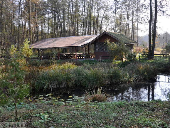 Ribiška družina Lendava ob Hotiškem jezeru