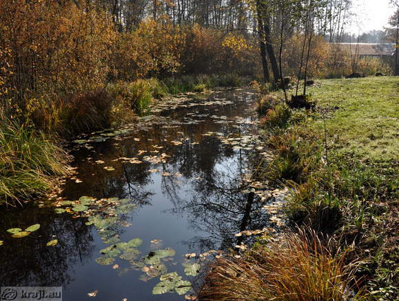 Južni krak Hotiškega jezera