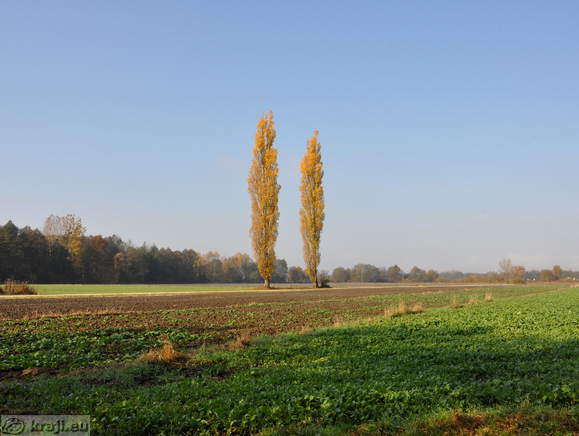 Krajša cesta do Hotiška jezera, ki se odcepi z glavne ceste Lendava - Murska Sobota