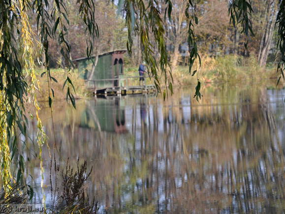 Ribič na Hotiškem jezeru