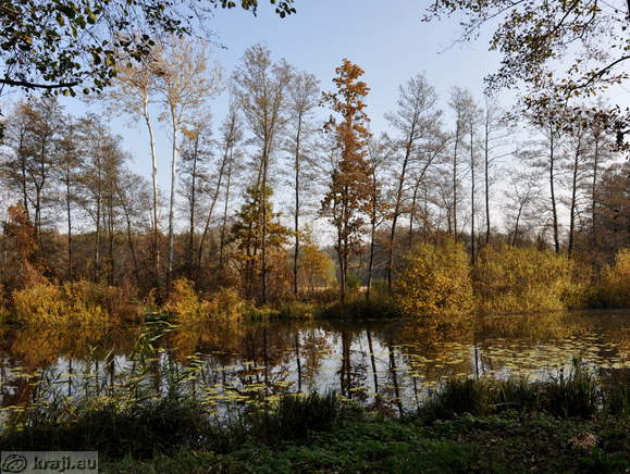 Hotiško jezero v jesenskih barvah