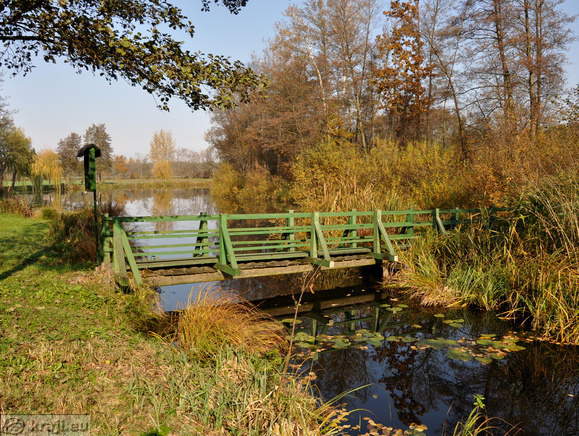 Brv čez južni krak jezera