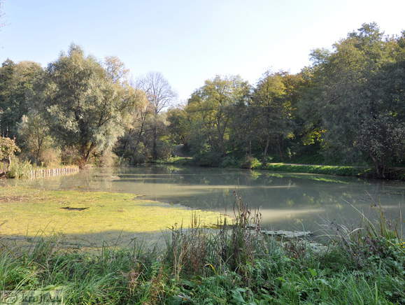 Miklavž na Dravskem polju - 2. ribnik