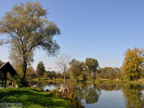 Miklavz ponds <br> 3rd Miklavz pond
