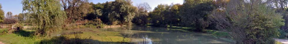 Miklavž na Dravskem polju - Miklavški ribniki