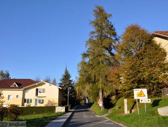 Road through Negova
