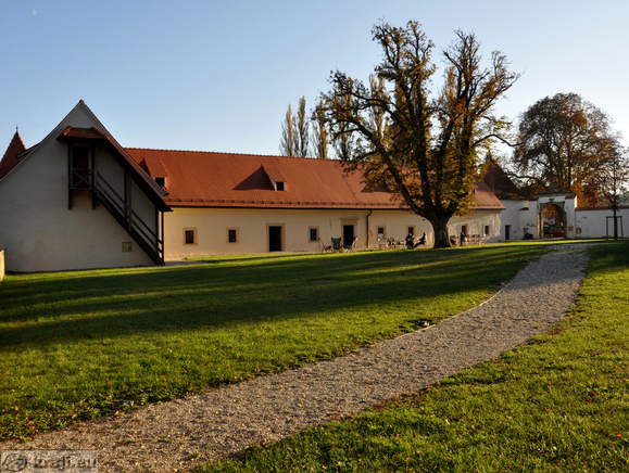 Negova - Negova Burg