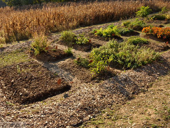 Negova - Kräuterpark