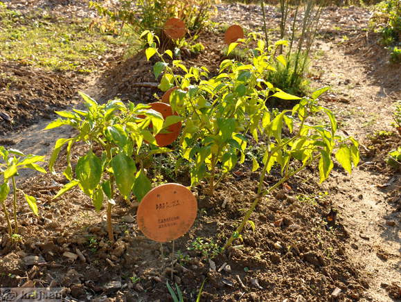 Negova - Kräuterpark