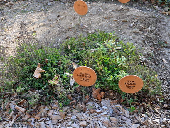 Negova - Kräuterpark