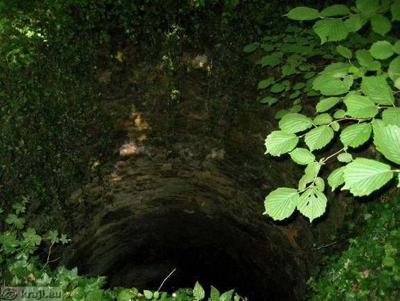 Luknja v grajskem parku - nekdanji vodnjak?