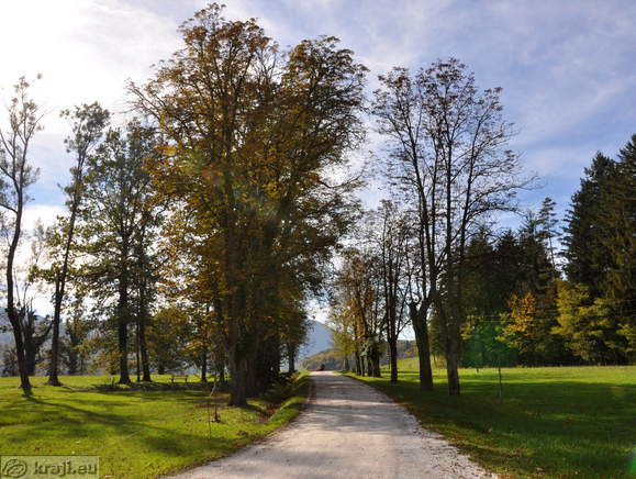 Schloss Statenberg - Park