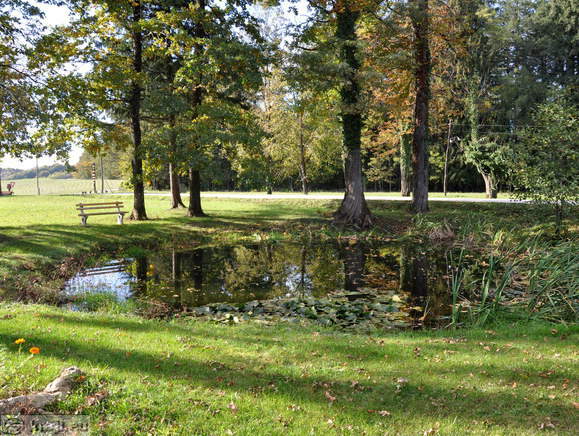 Schloss Statenberg - Park
