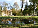 Schloss Statenberg - Park