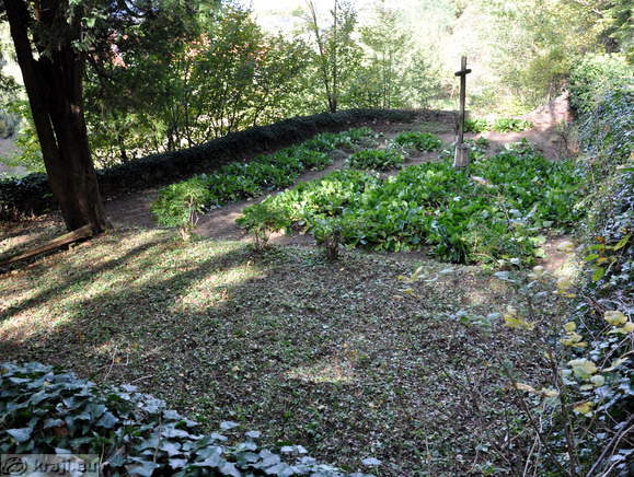 Kloster Naturlehrpfad