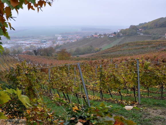 Lendava - Lendava Hügel Lendava - Lendava Hügel