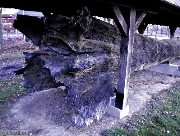 Terme Lendava <br> Subfossil Oak