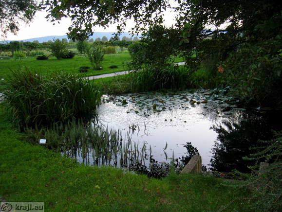 Botanischer Garten Pivola