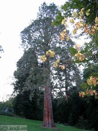 Botanischer Garten Pivola