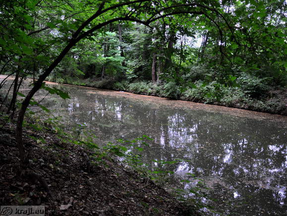 Water around the Betnava Park