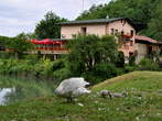 Guest house Koblarjev zaliv - Drinks from all over the world 