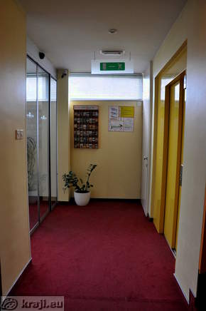 Dvigala