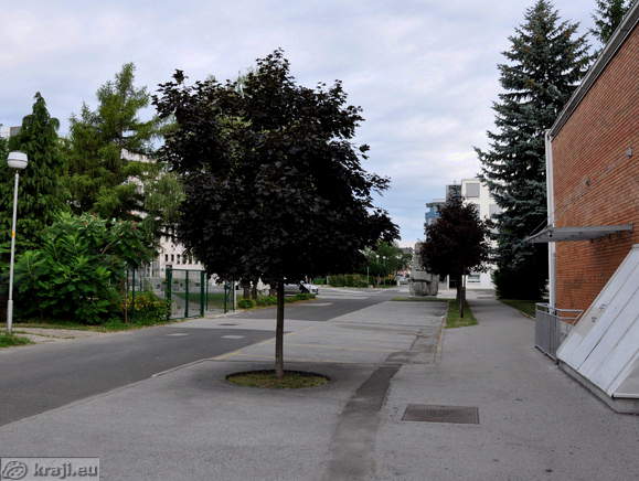 Trg Milosa Zidanska in Maribor