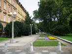 Maribor - City Park - Osrednja promenada v Mestnem parku v Mariboru