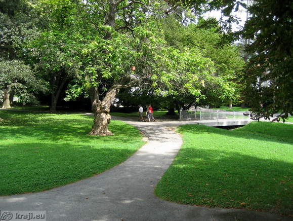 Razvejane sprehajalne poti v Mestnem parku