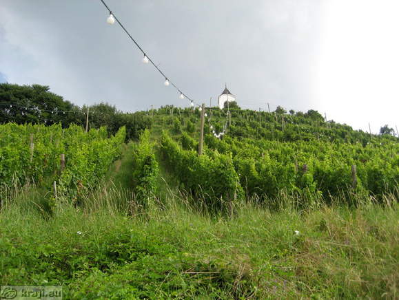 Pyramid hill with vineyards