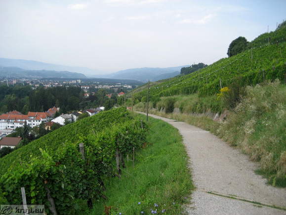 View back of the path