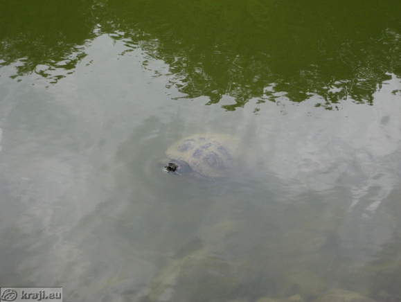 Maribor - Drei Teiche - Teich 2