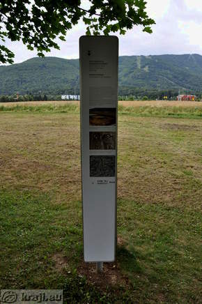 Maribor - Villa rustica und slawische Grab