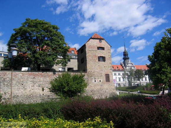Jewish Tower and Synagogue