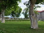 Kadetnica (Military Post) - Plane trees in park 