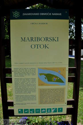 Informativna tabla - Mariborski otok