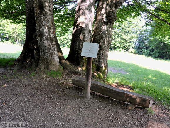 Zdravilna točka pri cerkvi sv. Bolfenka