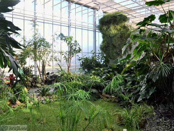 Tropical Garden