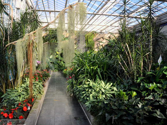 Big greenhouse