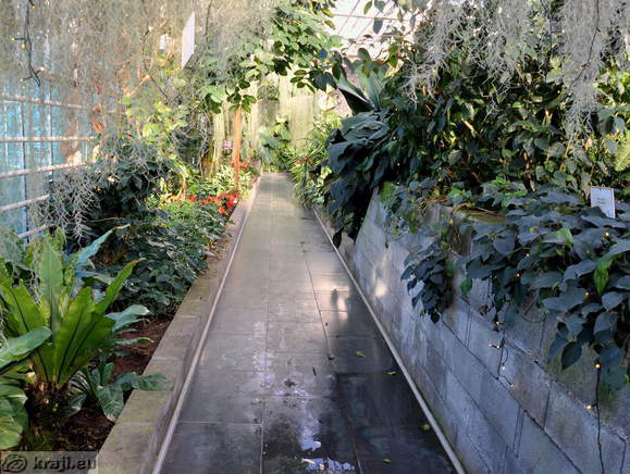 Path through the Tropical Garden